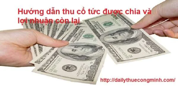 Hướng dẫn thu cổ tức được chia và lợi nhuận còn lại