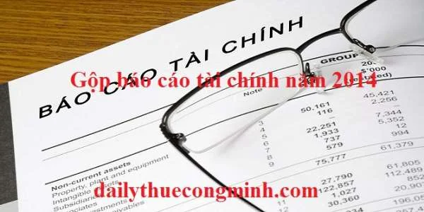 Gộp báo cáo tài chính năm 2014