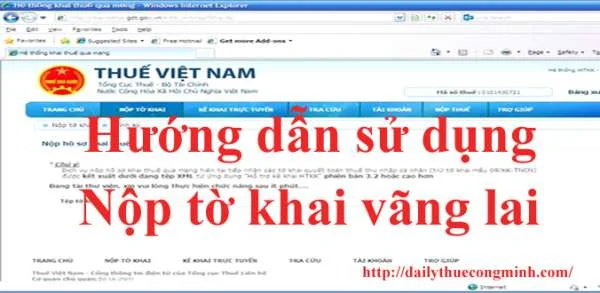 Hướng dẫn sử dụng chức năng “ Nộp tờ khai vãng lai ”