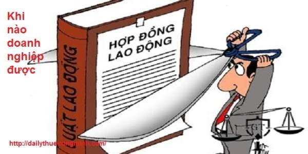 Trong trường hợp nào thì công ty được đơn phương chấm dứt hợp đồng lao động với người lao động?