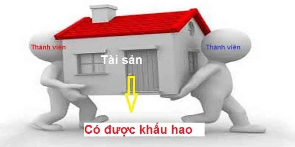 Tài sản cố định do thành viên góp vốn có được trích khấu hao không?