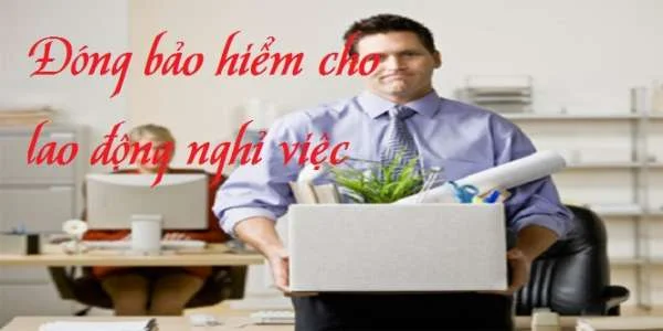 Có phải đóng bảo hiểm xã hội cho lao động nghỉ việc