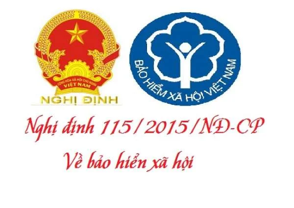 Nghị định 115/2015/NĐ-CP về bảo hiểm xã hội bắt buộc