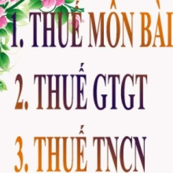 Cần biết các loại thuế nào sau khi thành lập công ty