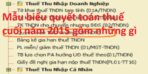 Mẫu biểu quyết toán thuế cuối năm 2015 gồm những gì