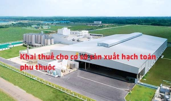 Hướng dẫn khai thuế cho cơ sở sản xuất hạch toán phụ thuộc