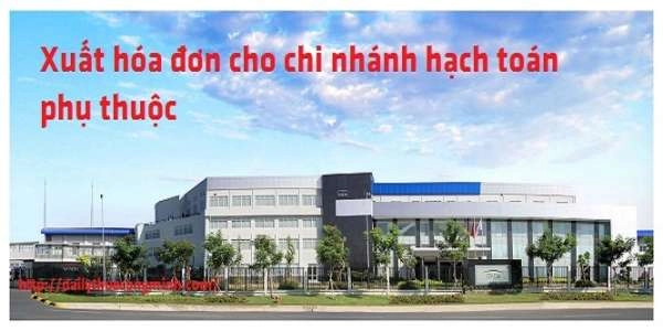 Xuất hóa đơn cho chi nhánh hạch toán phụ thuộc