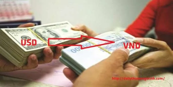 Chuyển đổi báo cáo tài chính từ USD sang VND