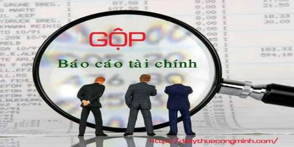 Gộp báo cáo tài chính vào năm sau cho những đối tượng nào