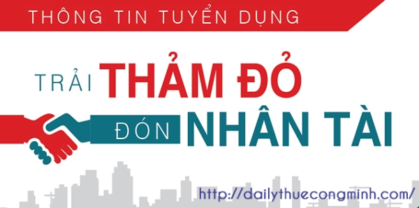 Tuyển dụng - Nhân viên phòng Dịch vụ Kế toán - VP The Light - Lần 02